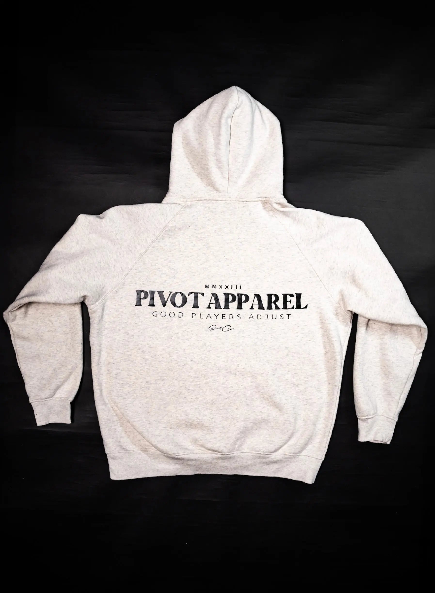 Pivot Travel Grey Hoodie Pivot